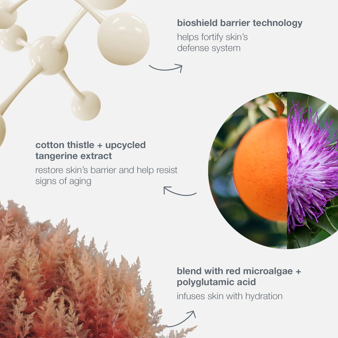 dynamic skin strengthening serum - Image 7